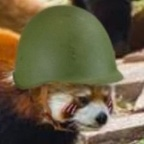 a_lewdpanda profile picture leakfans.com