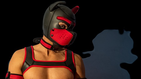 a_pup_a_day header picture leakfans.com