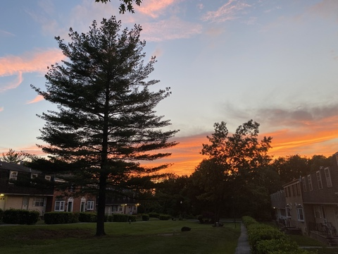 aaliyahhazexxx header picture leakfans.com