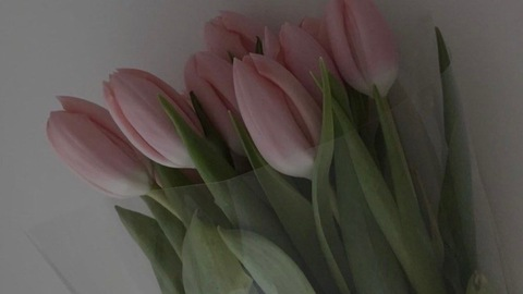 aaxxwcn header picture leakfans.com