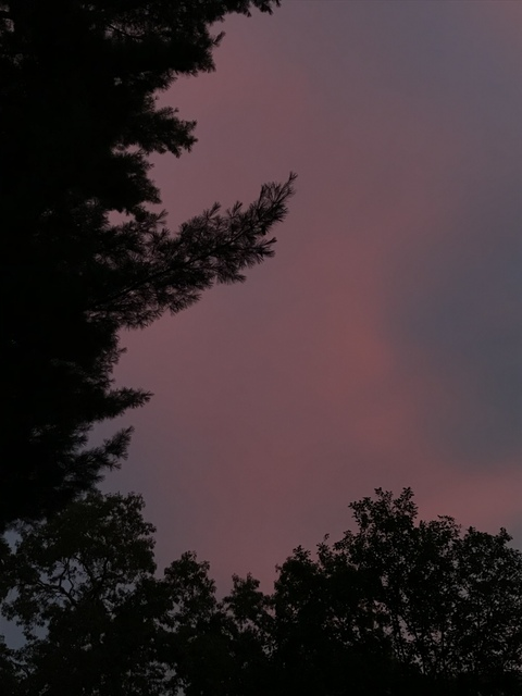 abbieb0214 header picture leakfans.com