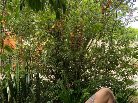 abrisadabruxa header picture leakfans.com