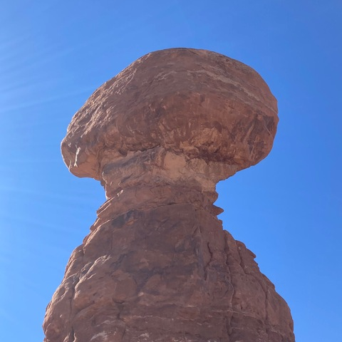 acewinter header picture leakfans.com