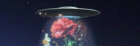 achiiinana header picture leakfans.com