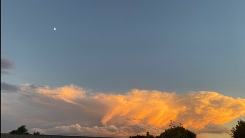 acilegna.sr header picture leakfans.com