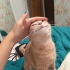 adlai profile picture leakfans.com