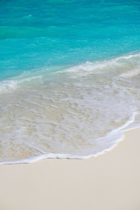 adriannaalove header picture leakfans.com