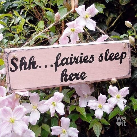 aesmafrecklez header picture leakfans.com