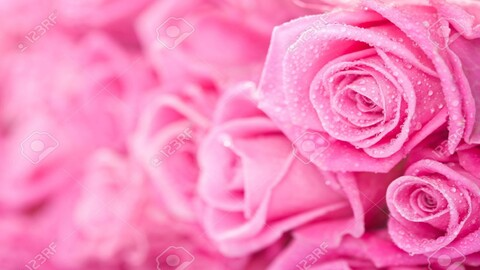 africasexxx header picture leakfans.com