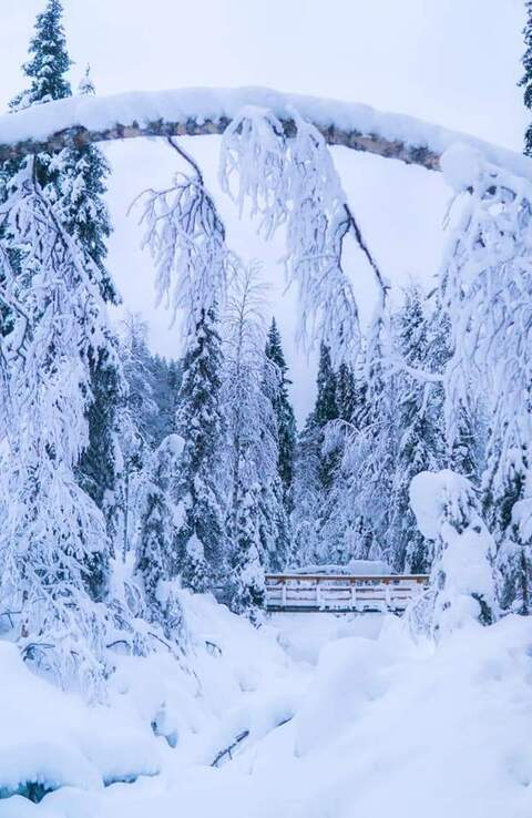 afterhoursd header picture leakfans.com