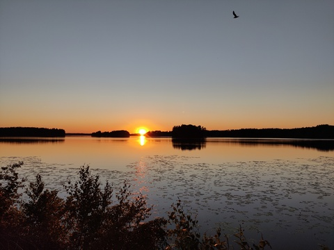 ahvenge header picture leakfans.com