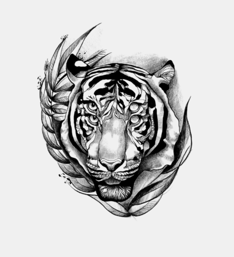 aidan3154 header picture leakfans.com