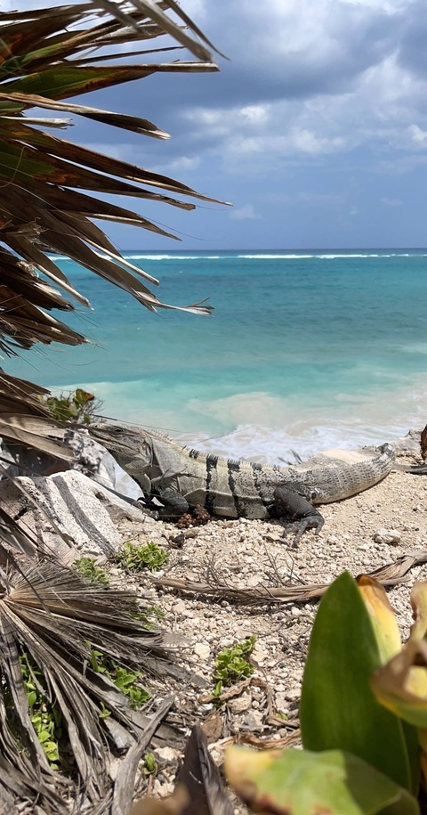 aidenbehrensss header picture leakfans.com