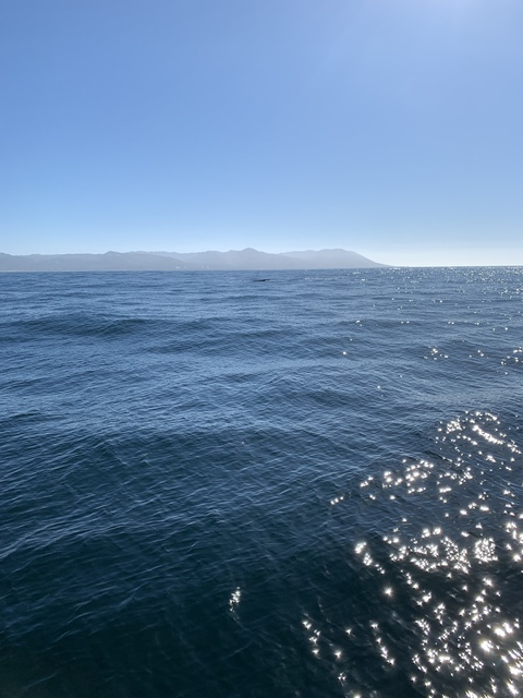 alayna header picture leakfans.com