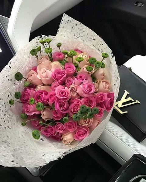 alexa_belle25 header picture leakfans.com