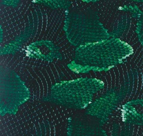 alexanderdutch header picture leakfans.com