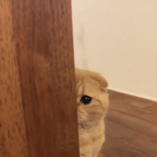 alexddx profile picture leakfans.com