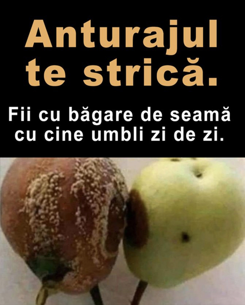 alexddx header picture leakfans.com