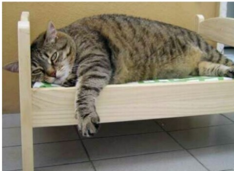 alexmoore header picture leakfans.com