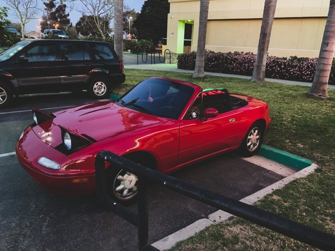 alexthevegan header picture leakfans.com