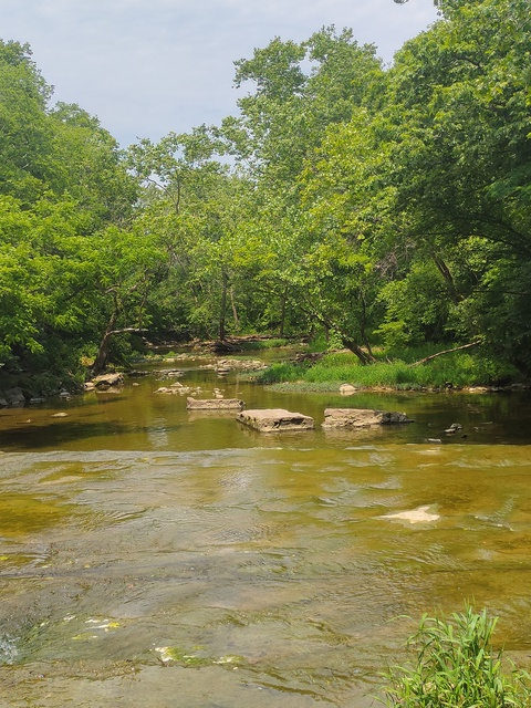 aliceblack99 header picture leakfans.com