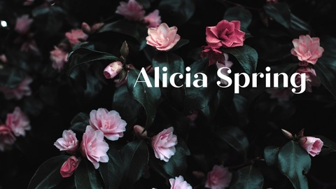 Header of aliciaspring