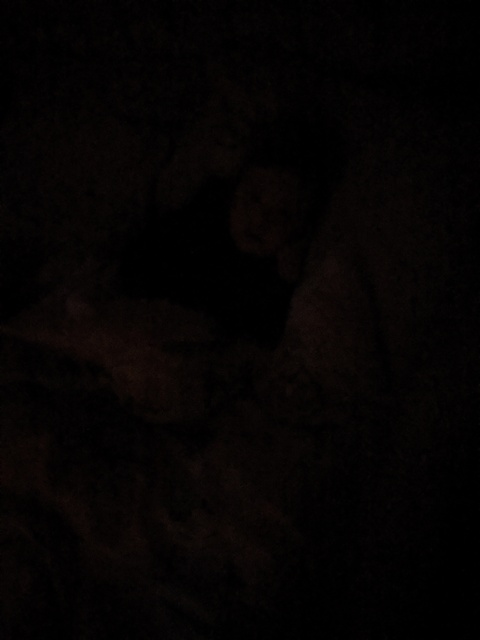 aliecat header picture leakfans.com