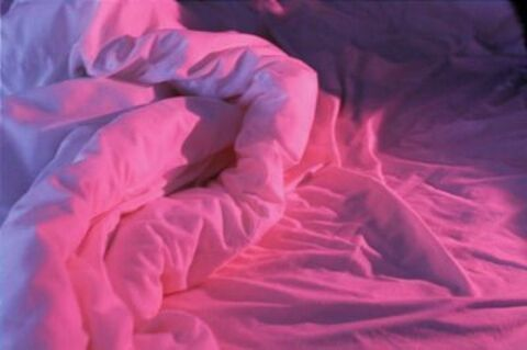 alleykat888 header picture leakfans.com