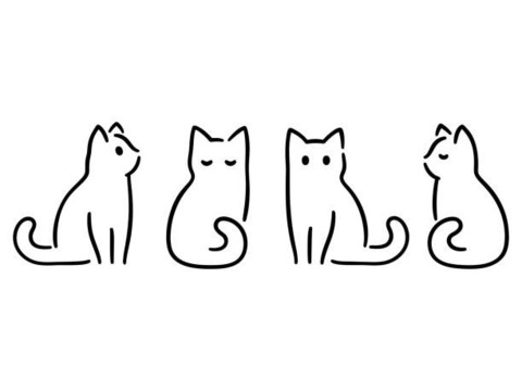 alliecatgirl header picture leakfans.com