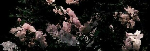 alliekenn header picture leakfans.com