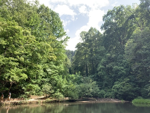 allnaturalmom header picture leakfans.com