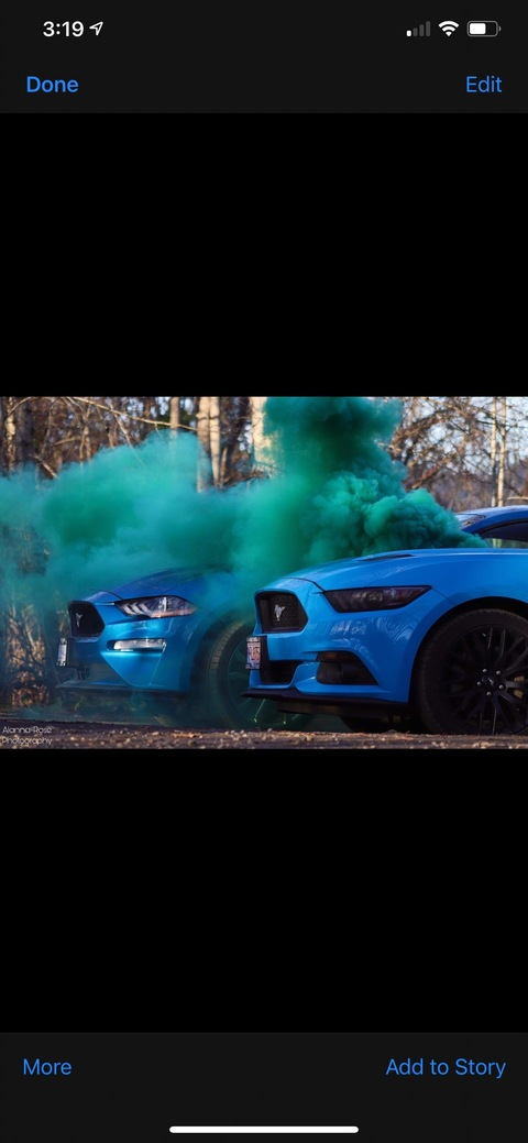 allyrose7 header picture leakfans.com