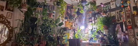 alm0ndm0chi header picture leakfans.com