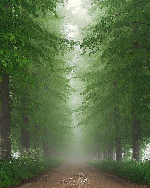 alpinewarrior header picture leakfans.com