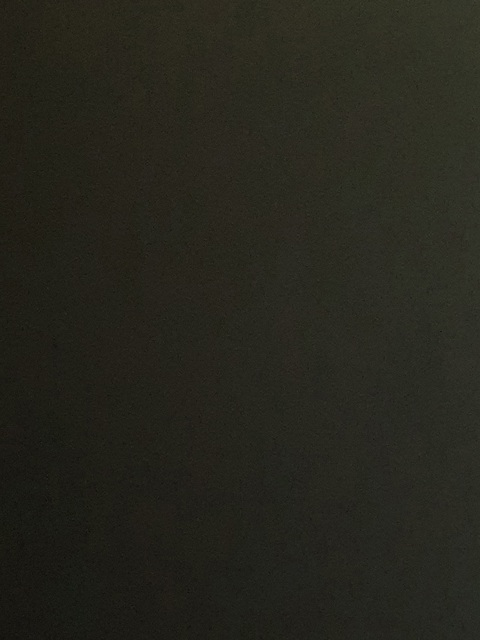 altesselina header picture leakfans.com