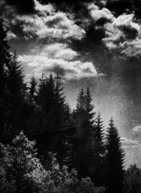 altgirlexperiment626 header picture leakfans.com