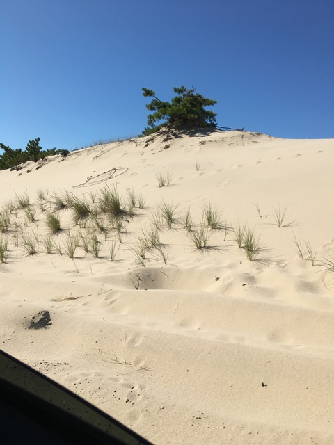 alyssajohnsononlyfans header picture leakfans.com