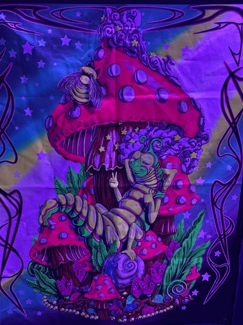 alyssaryn header picture leakfans.com