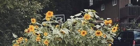 amanda19425 header picture leakfans.com