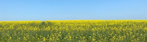 amarita_franchetti header picture leakfans.com