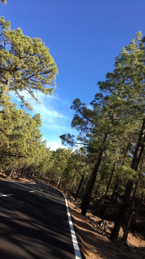 amelie7 header picture leakfans.com