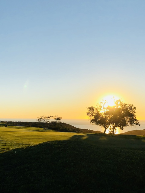 amj2811 header picture leakfans.com