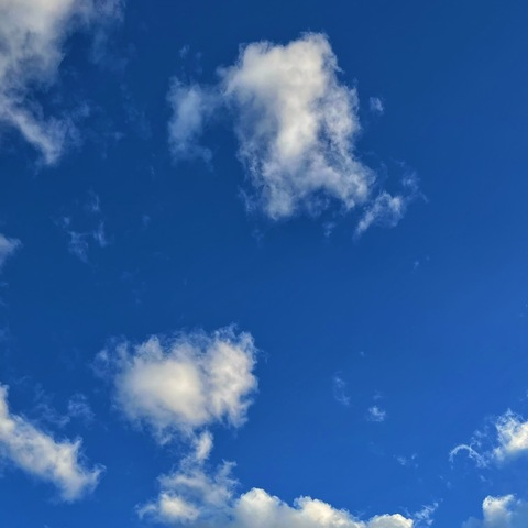 amyelrad header picture leakfans.com