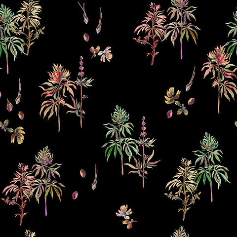 ana___kitty header picture leakfans.com