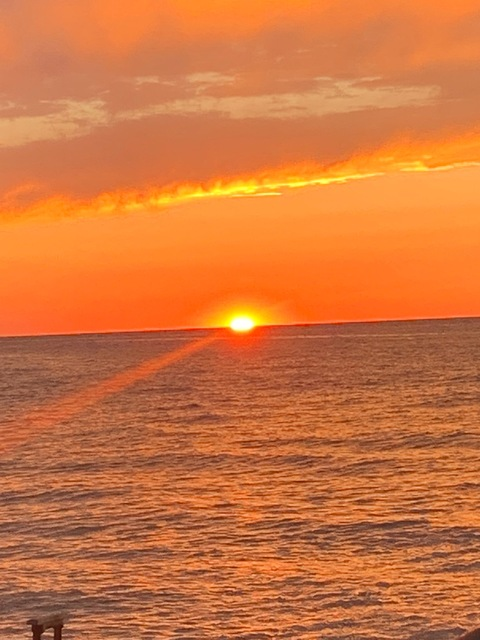 anastasia.mclane header picture leakfans.com