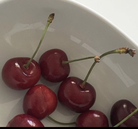 anasus header picture leakfans.com