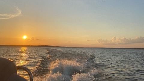 andi550 header picture leakfans.com