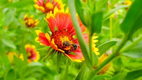 andrey.lov header picture leakfans.com