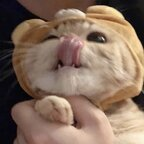 anezkameow profile picture leakfans.com