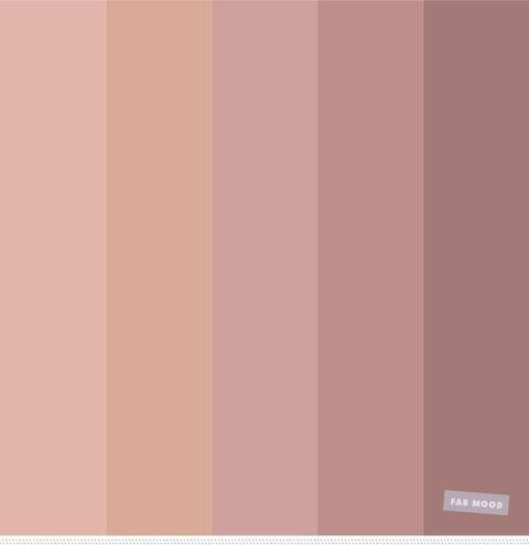 anezkameow header picture leakfans.com